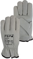 PSP 34-200 Nerfleren Driver
